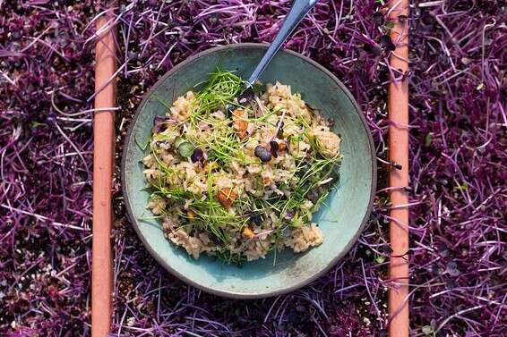 מתכון של ג'אזיסט מחונן. אורז בנבטים ואגוזים // צילום: איתיאל ציון